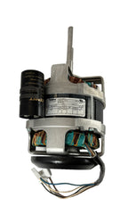 Robot Coupe - (B) Motor, R2Dice - 303160